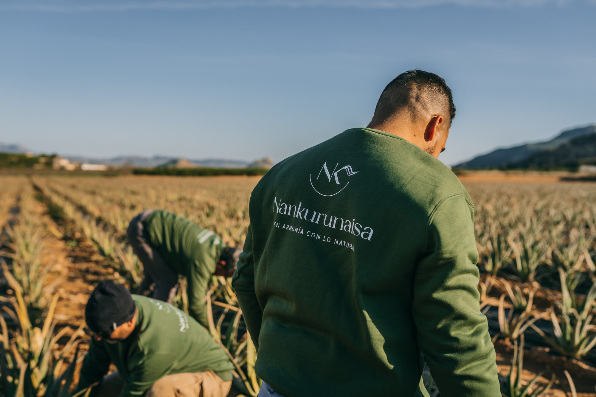 Plantación de aloe vera de Nankurunaisa